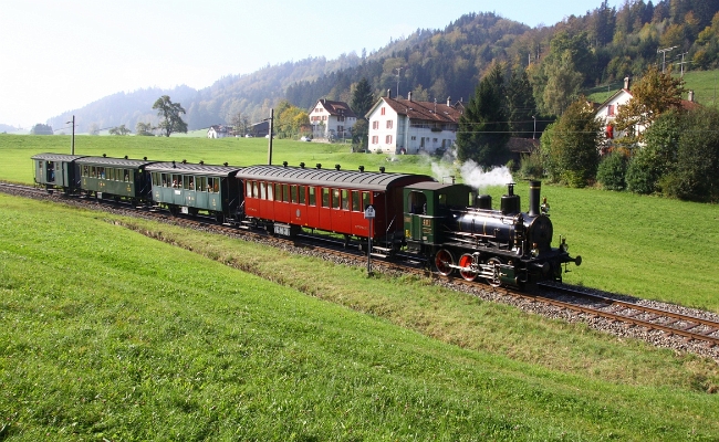 dvzo-e-3-3-401-neuthalJPG DVZO / SBB CFF FFS E 3/3 401 -- Neuthal -- 16.10.2011