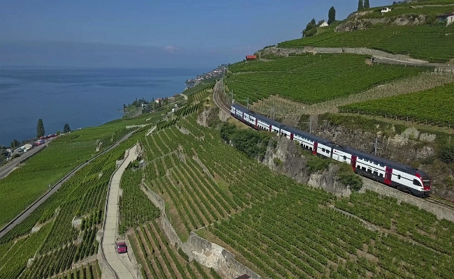 sbb-rabe-511-trains-des-vignes SBB CFF FFS, RABe 511 -- Vevey-Chexbres -- 17.07.2018