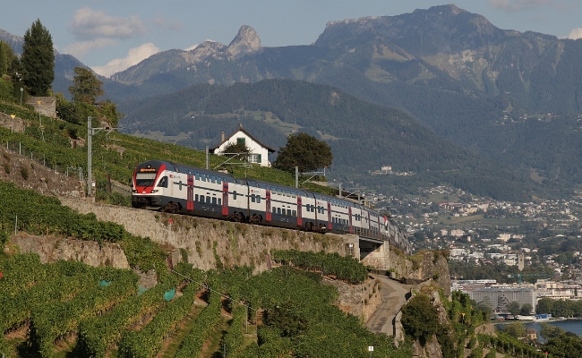 sbb-rabe-511-trains-des-vignes3 SBB CFF FFS, RABe 511 -- Vevey-Chexbres -- 15.08.2018