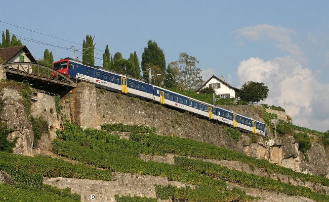 sbb-rbde-560-rev-corseaux SBB CFF FFS, RBDe 560 REV, Train des vignes -- Corsaux -- 13.09.2009