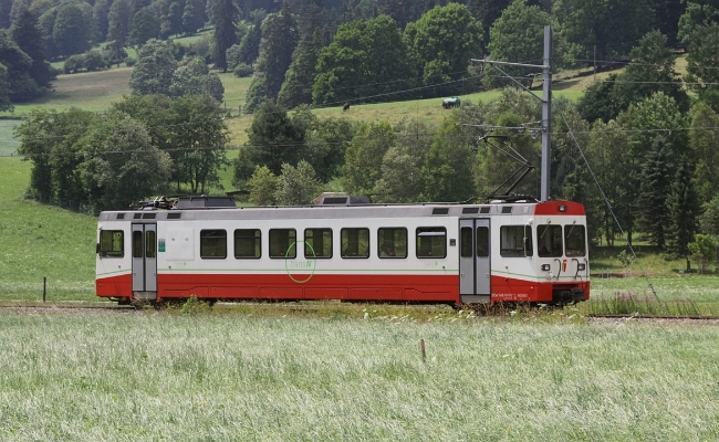 transn-bde-4-4-8-la-sagne TransN BDe 4/4 8 -- La Sagne -- 23.07.2017