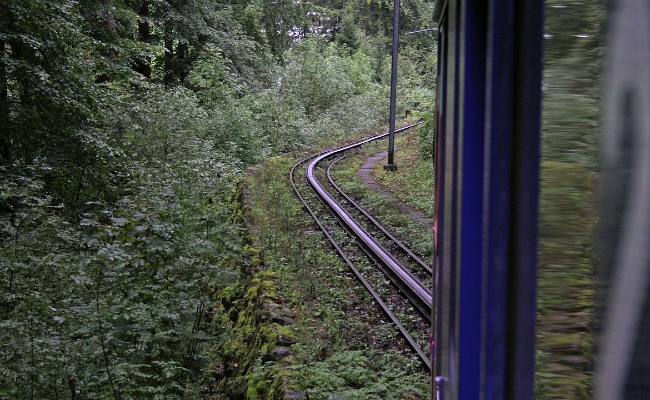 ZB LSE Grünenwald ZB Derniers trains sur le secteur crémaillère de Grünenwald -- 17.09.2010